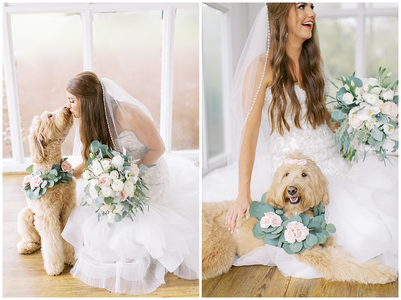 dog in wedding with eucalyptus collar